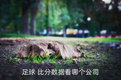 足球 比分?jǐn)?shù)據(jù)看哪個公司