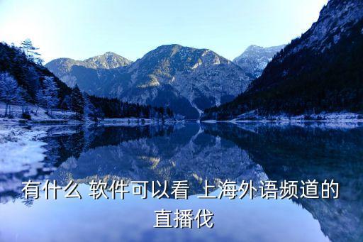 有什么 軟件可以看 上海外語頻道的 直播伐
