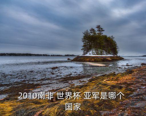 世界杯亞軍是哪個(gè)國(guó)家,阿根廷90世界杯亞軍沒(méi)有贏家世衛(wèi)組織