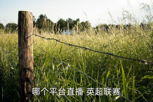 哪個(gè)平臺(tái)直播 英超聯(lián)賽