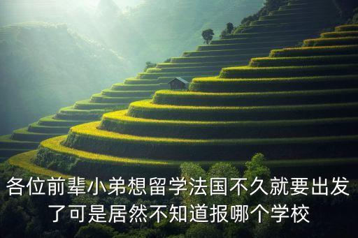 各位前輩小弟想留學(xué)法國(guó)不久就要出發(fā)了可是居然不知道報(bào)哪個(gè)學(xué)校