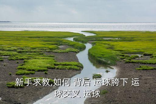 背后運球和胯下運球哪個好,足球運動員必須具備的基本功