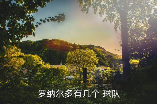 羅納爾多哪個(gè)球隊(duì),羅納爾多的職業(yè)生涯