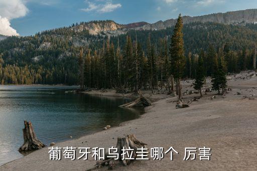 葡萄牙對(duì)墨西哥哪個(gè)厲害,世界杯葡萄牙對(duì)陣烏拉圭比較好預(yù)測(cè)!