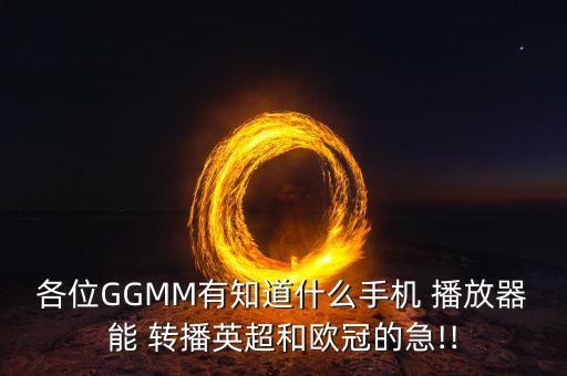 各位GGMM有知道什么手機 播放器能 轉(zhuǎn)播英超和歐冠的急!!