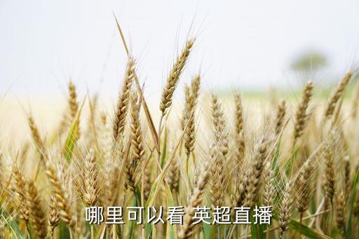 哪里可以看 英超直播