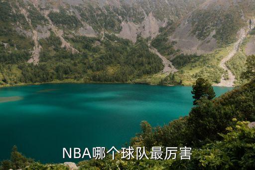 開拓者和費(fèi)城76人哪個(gè)強(qiáng),籃球迷熱情提名名單出爐我的預(yù)測(cè)