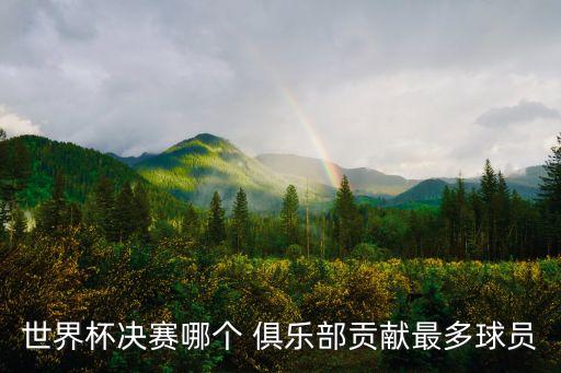 世界杯決賽哪個 俱樂部貢獻最多球員