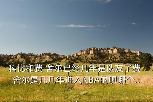 科比和費 舍爾已經(jīng)幾年是隊友了費 舍爾是幾幾年進(jìn)入NBA的唄哪個...
