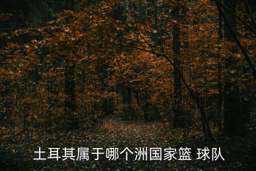  土耳其屬于哪個(gè)洲國家籃 球隊(duì)