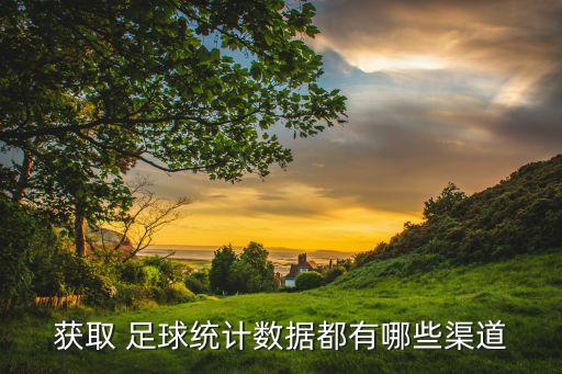獲取 足球統(tǒng)計數(shù)據(jù)都有哪些渠道