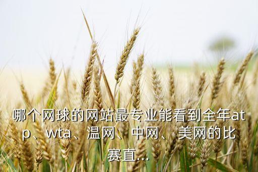 哪個網(wǎng)球的網(wǎng)站最專業(yè)能看到全年atp、wta、溫網(wǎng)、中網(wǎng)、 美網(wǎng)的比賽直...