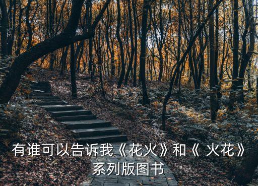 有誰(shuí)可以告訴我《花火》和《 火花》系列版圖書