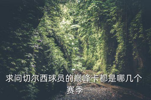 哪個(gè)賽季切赫,捷克媒體記者選出最佳射手獎(jiǎng)
