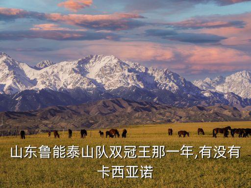 山東魯能泰山隊(duì)雙冠王那一年,有沒(méi)有卡西亞諾