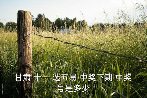 甘肅 十一 選五易 中獎(jiǎng)下期 中獎(jiǎng)號(hào)是多少