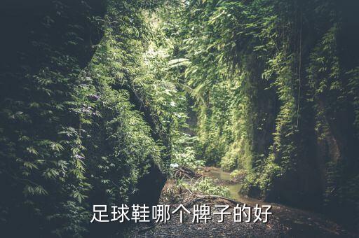  足球鞋哪個(gè)牌子的好