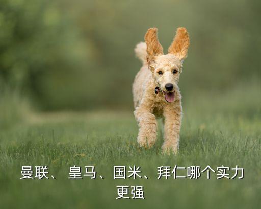  曼聯(lián)、 皇馬、國(guó)米、拜仁哪個(gè)實(shí)力更強(qiáng)