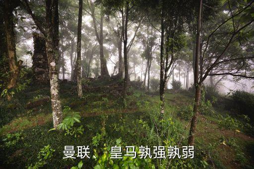 曼聯(lián)、 皇馬孰強(qiáng)孰弱