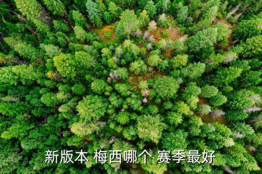 梅西哪個(gè)賽季好用,梅西10賽季市值破百萬真是厲害!