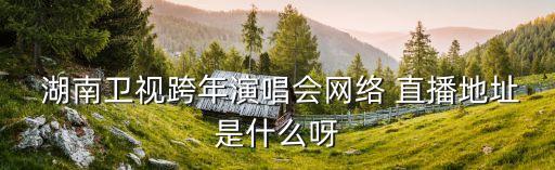  湖南衛(wèi)視跨年演唱會網(wǎng)絡 直播地址是什么呀