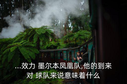...效力 墨爾本鳳凰隊(duì),他的到來(lái)對(duì) 球隊(duì)來(lái)說(shuō)意味著什么