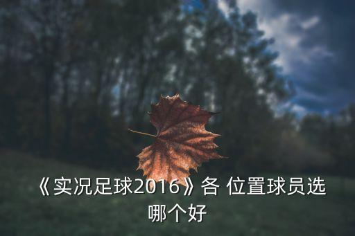 《實(shí)況足球2016》各 位置球員選哪個(gè)好