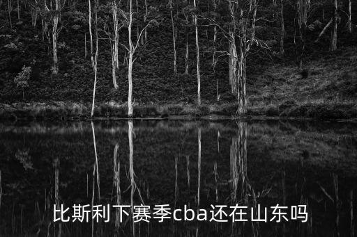 比斯利去哪個(gè)隊(duì)了,nba消息:火箭將與比斯李簽約