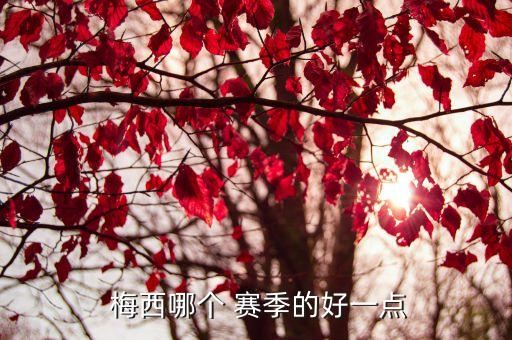  梅西哪個 賽季的好一點(diǎn)