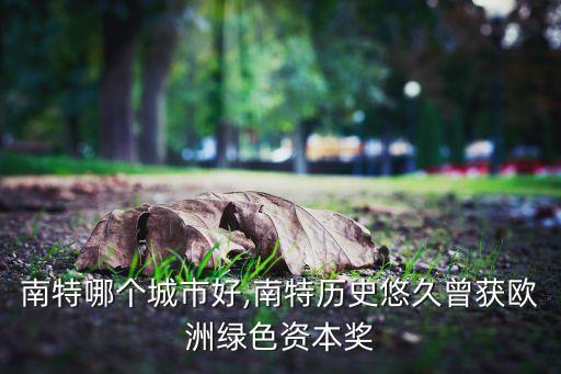 里昂南特哪個城市好,南特歷史悠久曾獲歐洲綠色資本獎