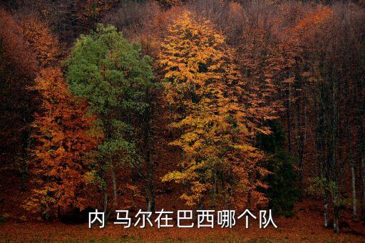 內(nèi)馬爾是哪個球隊(duì)的,巴西足球先生內(nèi)馬爾轉(zhuǎn)會巴塞羅那隊(duì)