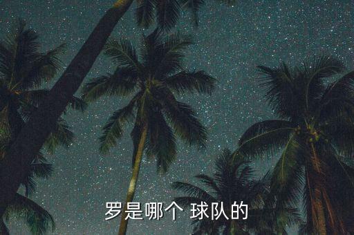 羅是哪個(gè) 球隊(duì)的