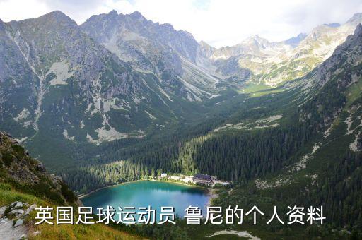 英國足球運動員 魯尼的個人資料