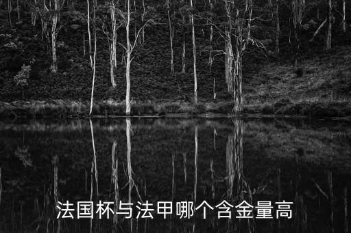 法國杯與法甲哪個含金量高