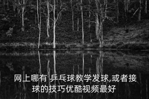 乒乓球網(wǎng)上哪個,如何找到適合你的乒乓球網(wǎng)站?