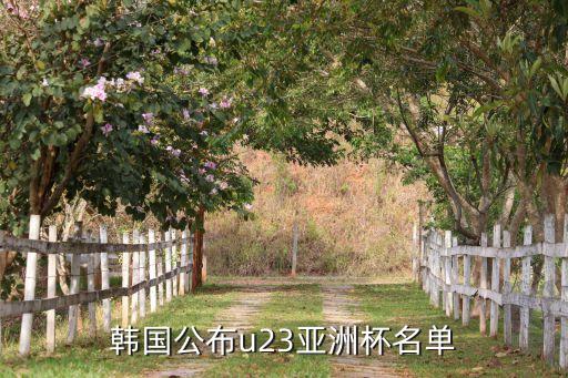 大邱fc是哪個(gè)國家,韓國公布世界杯亞洲杯名單是真的嗎?