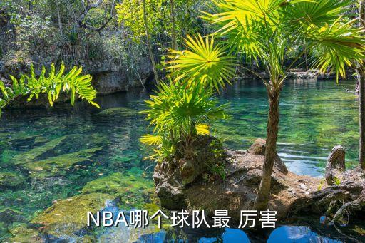 鵜鶘開拓者哪個隊厲害,不用做太多調(diào)整馬刺穩(wěn)定派位幾乎成型