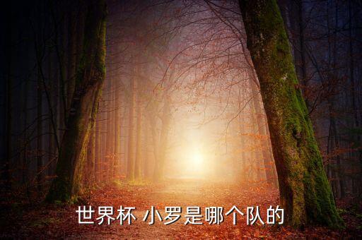pes2016小羅在哪個隊(duì),小羅轉(zhuǎn)會巴塞羅那效力尤文圖斯