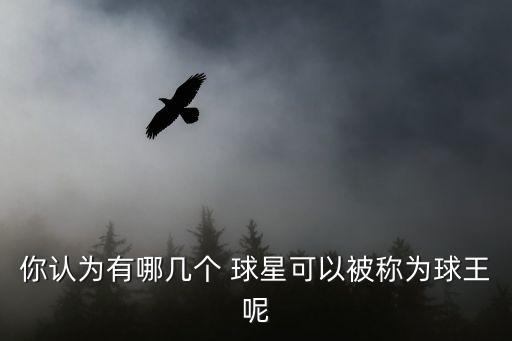 你認為有哪幾個 球星可以被稱為球王呢