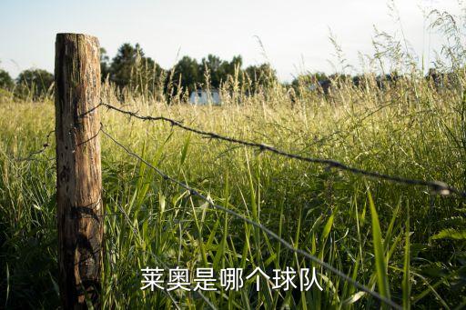 龐特普雷塔在哪個城市,巴西足球新星利奧效力圣保羅足球俱樂部
