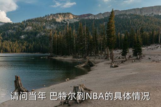 請問當年 巴特爾到NBA的具體情況