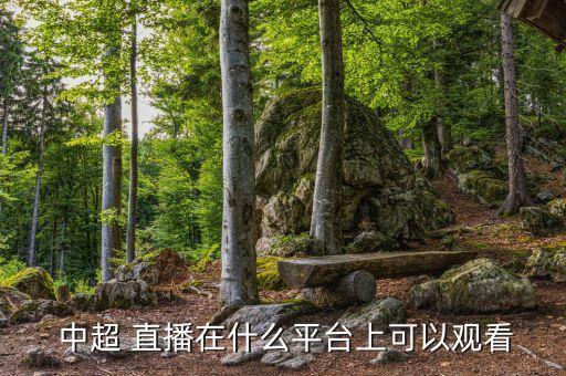  中超 直播在什么平臺(tái)上可以觀看