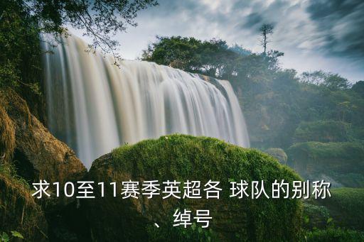 黑池是哪個(gè)球隊(duì),英超歷史上最弱桑德蘭競(jìng)技綽號(hào)黑貓
