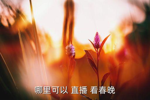 哪個(gè)臺(tái)可以看春晚直播回放,2023年春晚在哪里看呢?