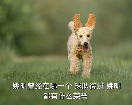 姚明曾經(jīng)在哪個(gè)球隊(duì),籃球巨星姚明的nba生涯