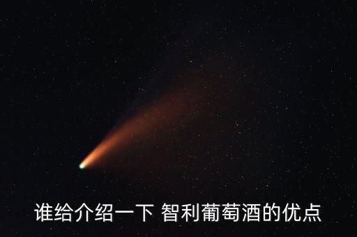 誰給介紹一下 智利葡萄酒的優(yōu)點(diǎn)