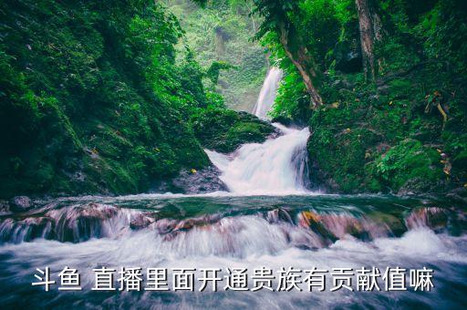 斗魚(yú) 直播里面開(kāi)通貴族有貢獻(xiàn)值嘛