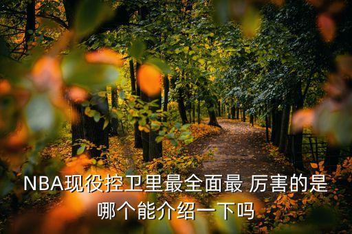 NBA現(xiàn)役控衛(wèi)里最全面最 厲害的是哪個(gè)能介紹一下嗎