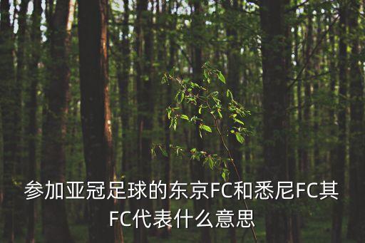 林肯Fc隊(duì)哪個(gè)國(guó)家,fc是英文ootootclub的縮寫