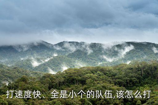 打速度快、全是小個(gè)的隊(duì)伍,該怎么打